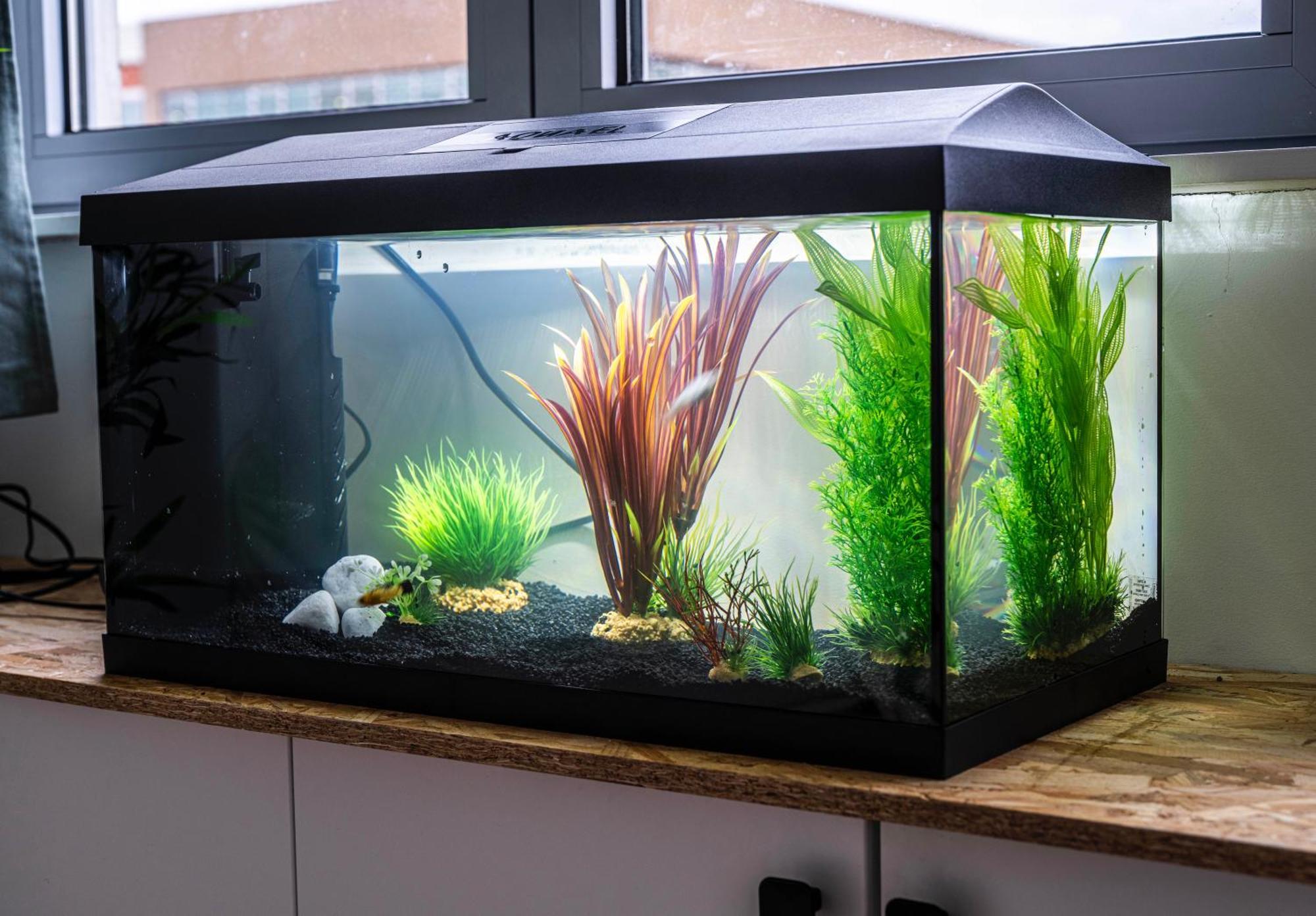 Апартаменты Studio Chaleureux Avec Aquarium Марк-ан-Барёль Экстерьер фото